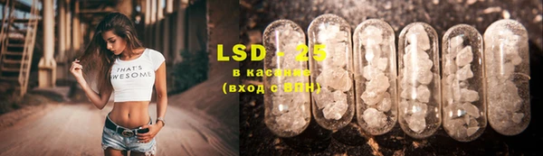 ешки Новозыбков