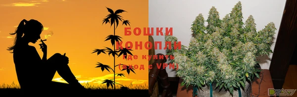 ГАЛЛЮЦИНОГЕННЫЕ ГРИБЫ Няндома
