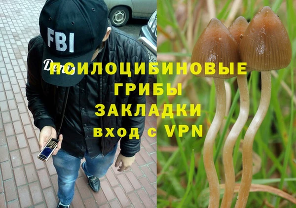 ГАЛЛЮЦИНОГЕННЫЕ ГРИБЫ Няндома