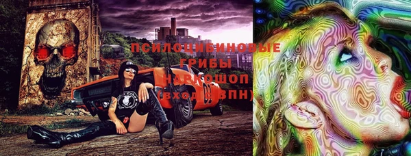 PSILOCYBIN Нязепетровск