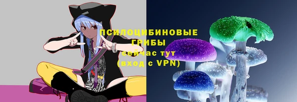 PSILOCYBIN Нязепетровск