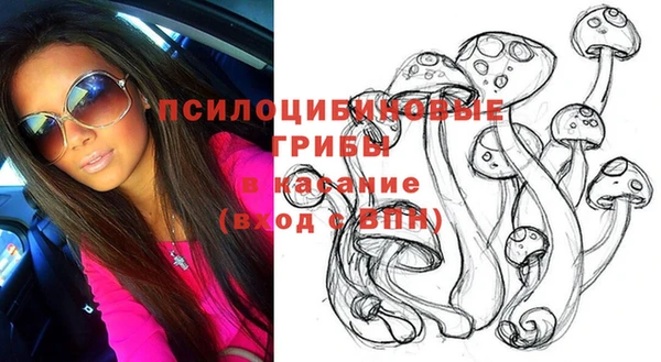 ГАЛЛЮЦИНОГЕННЫЕ ГРИБЫ Няндома