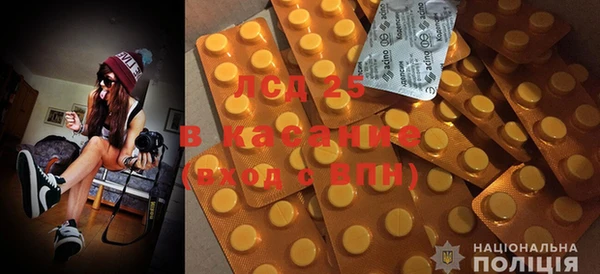 ГАЛЛЮЦИНОГЕННЫЕ ГРИБЫ Няндома