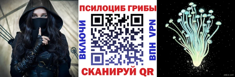 как найти   Обоянь  Галлюциногенные грибы Cubensis 